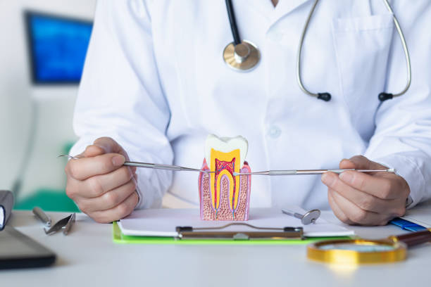 Best Root Canal Emergency Dentist  in Notre Dame, IN